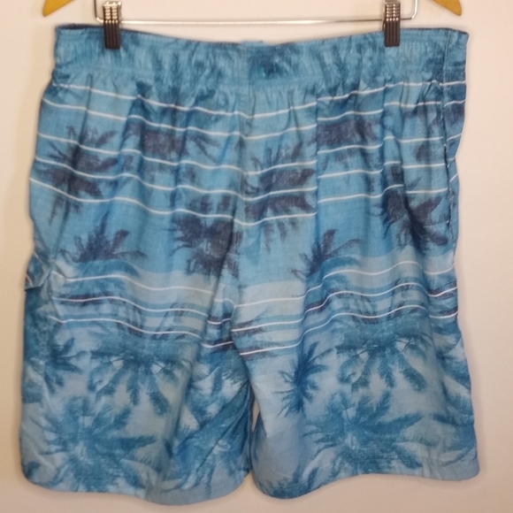 Men's Speedo swim trunks sz large - Picture 3 of 4